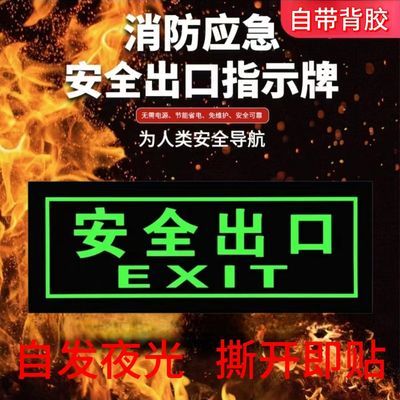 自发光消防疏散安全出口指示牌免接电夜光学校通用应急楼道标识牌