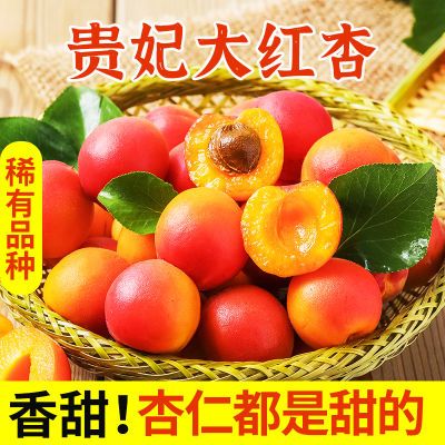 【6斤特价】稀有大红杏新鲜水果杏子杏应季水果甜杏子黄杏批发