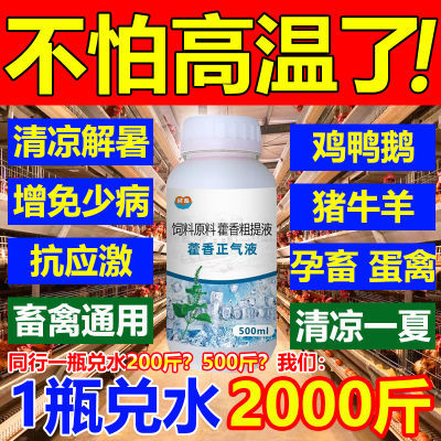 藿香正气液鸡鸭鹅解暑降温畜禽猪牛羊防中暑兽用养殖专用抗热应激