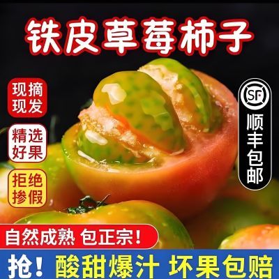 【顺丰包邮】铁皮草莓西红柿自然成熟水果番茄绿腚鹰爪应季番茄