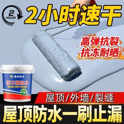 屋顶防水补漏材料楼房彩钢瓦补漏防漏胶顶裂缝补漏王外墙防水涂料