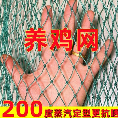 家禽养殖网养鸡网拦鸡鸭网爬藤网菜园围网果园网护栏天网支持定做