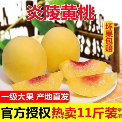 【官方授权】正宗炎陵黄桃湖南特产当季新鲜大果红心锦绣水蜜桃【