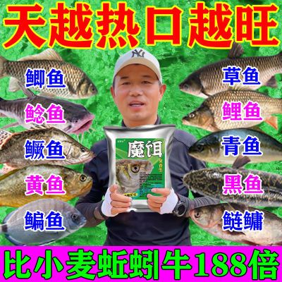 【大鱼抢着吃】邓刚推荐钓鱼饵料鲫鱼鲤鱼通用野钓黑坑鱼食鱼饲料