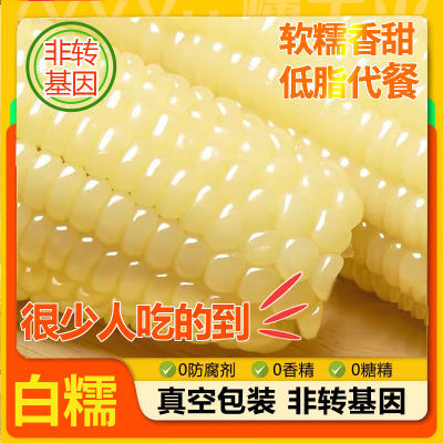 【10根】白甜糯玉米真空袋粘玉米新鲜代餐非转基因东北糯玉米整箱
