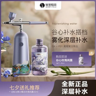 谷心二代小型智能注氧仪家用脸部无针纳米喷雾保湿补水精华导入仪