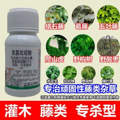 络石藤葛藤水花生五叶藤拉拉秧野构树除草剂灌木除草剂氨氯吡啶酸