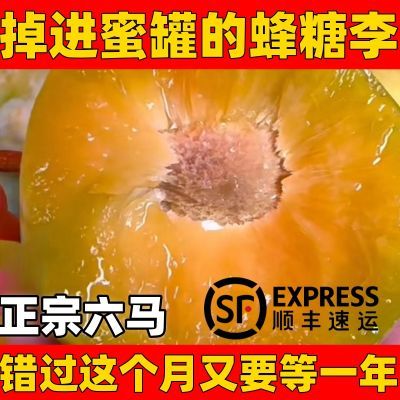 【顺丰冷链】贵州六马蜂糖李原产地直发当季新鲜水果脱骨脆甜李子