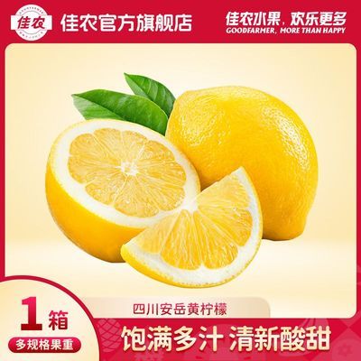 【佳农】安岳黄柠檬新鲜水果3斤装单果130g-160g 清香