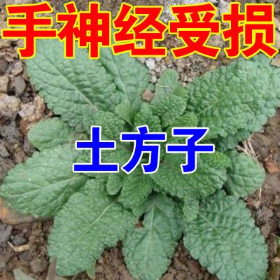 手神经损伤手部虎口肌肉萎缩僵硬麻木弯曲困难使不上劲活动受限