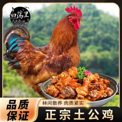 ڲ׵ƽŴ󹫼ӪⱿ3ߵؼջ˼ʳ42.38Ԫ