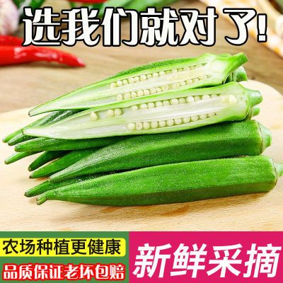 【胡鲜森】一级 福建秋葵蔬菜新鲜水果秋葵应季批发价2斤起