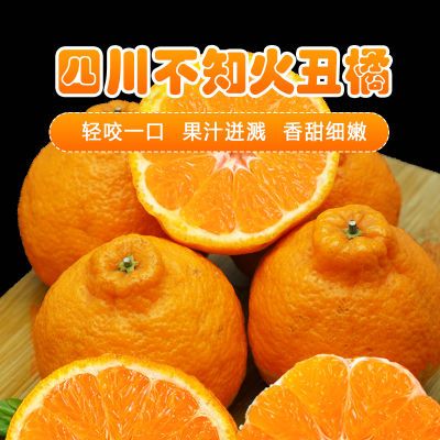 【高山晚熟】正宗四川丑橘不知火新鲜桔子应季水果整箱柑橘包邮