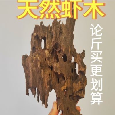 多孔虾木蜂窝虾木微景观假山鱼缸造景鱼虾躲避洞虾缸沉木免煮树洞