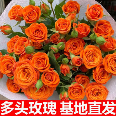 多头玫瑰橙色芭比爱丽丝鲜花花束云南昆明基地直发速递同城水养花