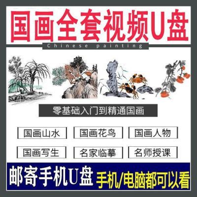 经典全集 正统国画技法入门零基础教程 山水花鸟教程 u盘优盘全套