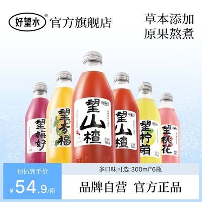 好望水望山楂梅好柠檬果味果汁饮料气泡水聚会乔迁一整箱300ml6瓶