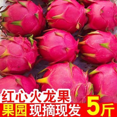 【精品】红心火龙果超甜新鲜应季热带水果海南金都一号红肉批发价