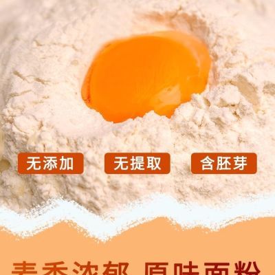 正宗山东冬小麦自磨面粉无添加带胚芽去麸皮面粉新国标麦香味十足