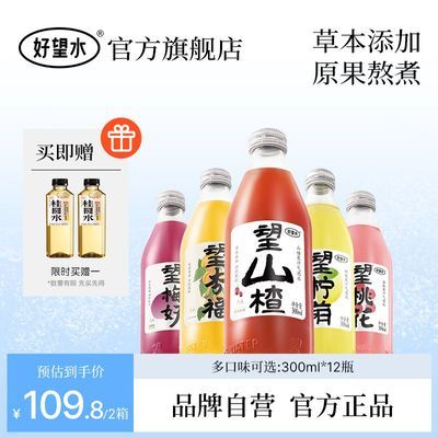 【老客特惠】好望水望山楂果味柠檬果汁300ml*12果汁饮料一整箱装