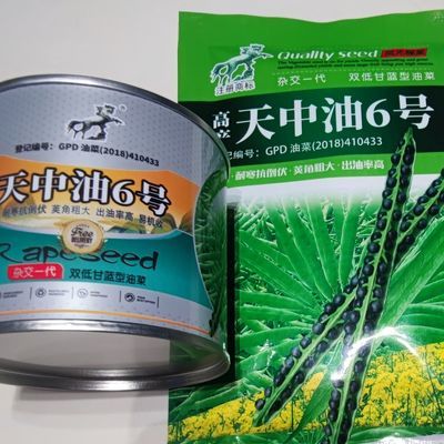 高产油菜籽油菜种子超高产榨油专用杂交黑籽大粒早熟矮杆抗冻油菜