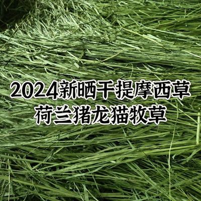 2024新精品优质晒干兔子龙猫豚鼠荷兰猪提摩西干草饲料牧草500
