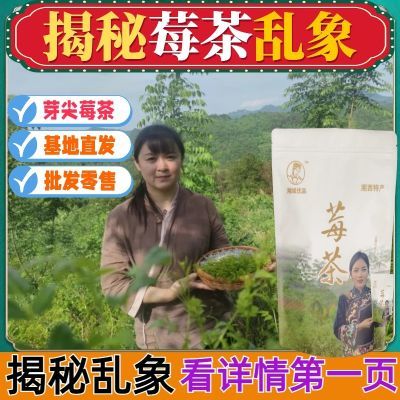 正品张家界莓茶官方店正宗永顺芽尖莓茶龙须嫩芽恩施藤茶湘西霉茶