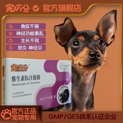 兽用维生素b6注射液宠物犬猫胃肠疾病细小犬瘟止吐神经炎胀气皮炎