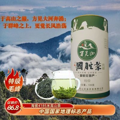 绿茶国胜茶特级毛峰兰花香型云雾茶四川特产绿茶100g手工茶罐装