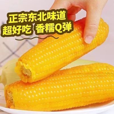 【整箱4-4.5斤】黄糯玉米12段棒非转基因煲汤蒸煮