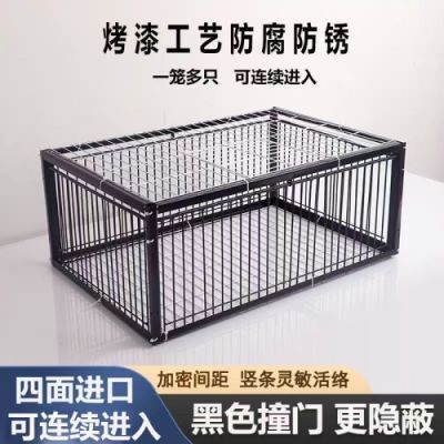 鸽子撞门笼加粗自动撞门笼活络门信鸽进笼进自动门鸽笼户外收鸽笼