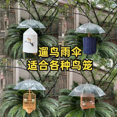 鸣中雀下雨遛鸟专用雨伞透明不挡光简单易用雨天放鸟专用遮雨伞