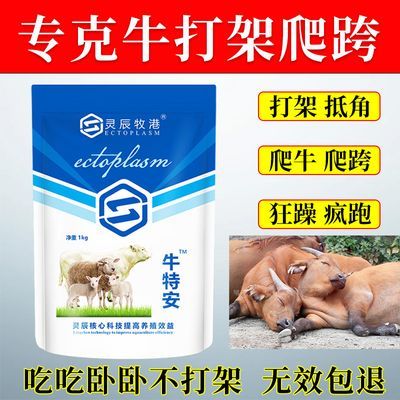 牛羊群专用防打架顶人爬跨爬牛抵角兽用镇静安神抗应激饲料添加剂