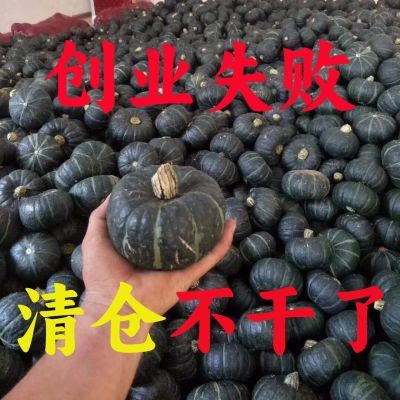 【太便宜】正宗真贝贝南瓜宝宝辅食新鲜蔬菜贝贝小南瓜当季正品