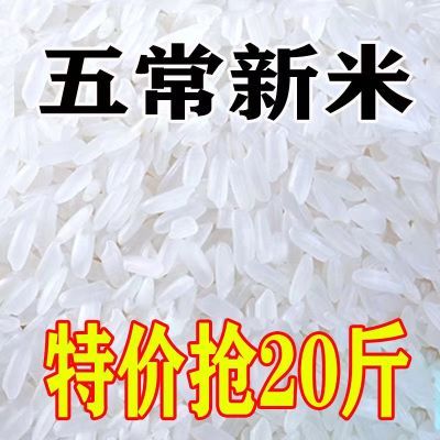 正宗五常稻香米2024年新米五常米批发10斤20斤东北大米自家吃的米