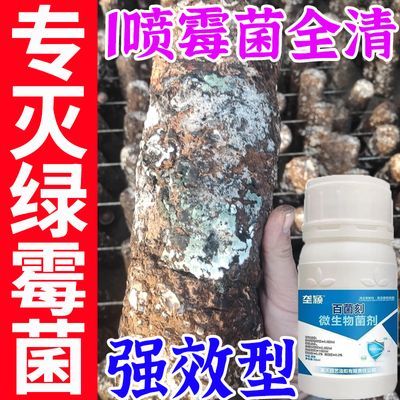 香菇绿霉菌病害清平菇金针菇细菌斑点病黑腐病曲霉疫黑腐病毒病