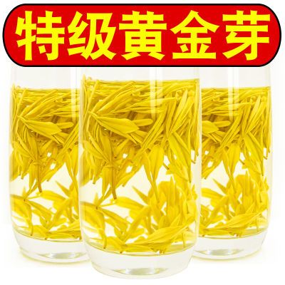 2024新茶【特级黄金芽】正宗浓香型黄金叶珍稀白茶绿茶叶罐装散装