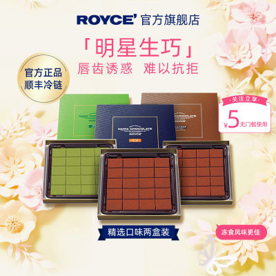 ROYCE若翼族生巧克力制品日本原装进口网红零食2盒装礼物送朋友