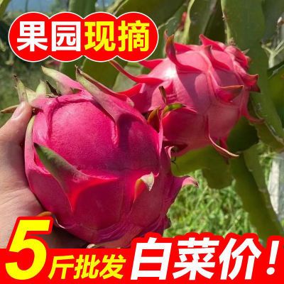 当季火龙果整箱新鲜现摘5斤红心火龙果批发价薄皮味甜孕妇果