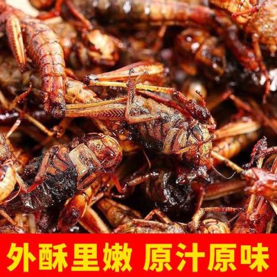 新鲜油炸蚂蚱无干燥剂去翅膀50克即食香辣零食酥脆下酒招待蝗虫