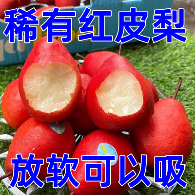 【现摘】红啤梨红宝石梨蜜梨香梨脆嫩爽甜当季时令新鲜梨孕妇水果