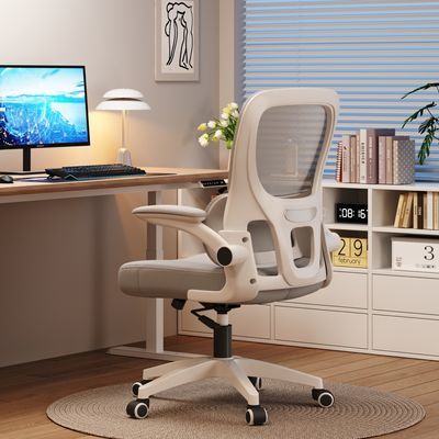 一棵柠檬办公椅人体工学椅家用电脑椅舒适久坐学习座椅宿舍电竞椅