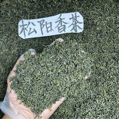 浙江松阳香茶2024新茶一斤500g浓香豆香绿茶炒青丽水茶叶自己喝