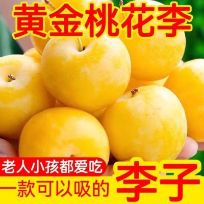 礼盒装【纯甜】冰糖李桃花李玉皇新鲜水果孕妇果包邮直发纯天然