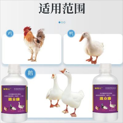 温立康正品鸡鸭鹅家禽通用快速清热排毒消毒感冒发烧咳嗽鸡药