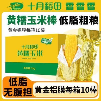 东北23年新十月稻田黄糯玉米2kg10根减低脂黄金真空铝膜新鲜清仓