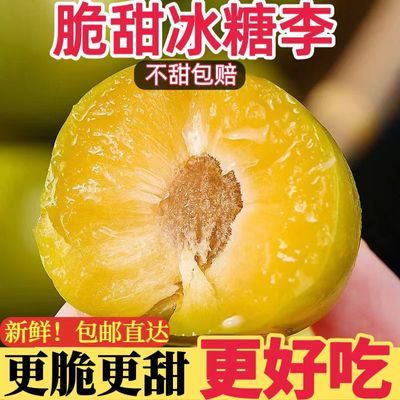 新店半价】四川脱骨李青红脆李茵红李半边红水果新鲜酸甜孕妇整箱