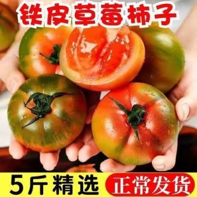 铁皮草莓柿子新鲜应季水果番茄绿腚铁皮柿子草莓柿子西红柿一整箱