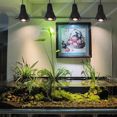 LED植物补光灯调焦室内家用生长灯落地全光谱鱼缸造景射多肉灯