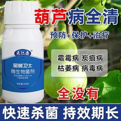 葫芦专用剂葫芦杀菌剂霜霉病灰霉病白粉病炭疽病蔓枯病葫芦病全管